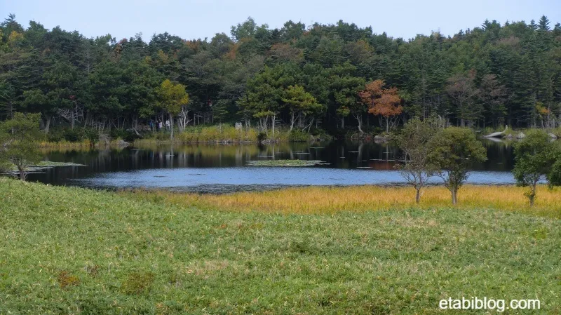 知床五湖の一湖