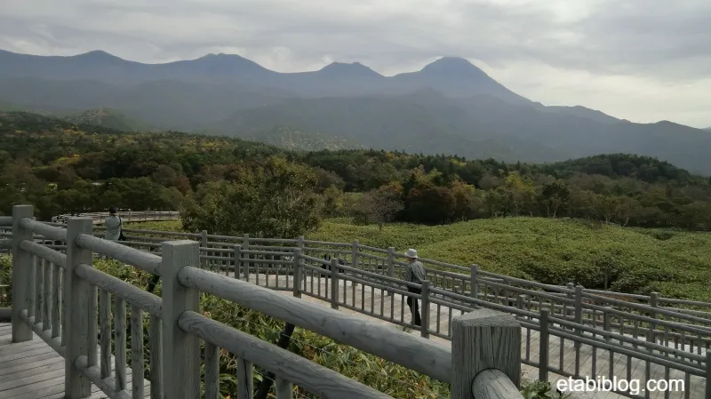 知床五湖の高架から見える知床連山の山並み