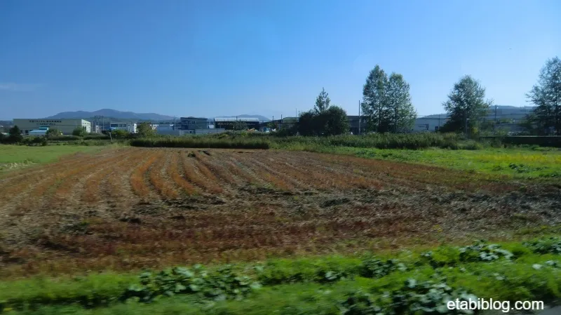美瑛の広大な丘陵