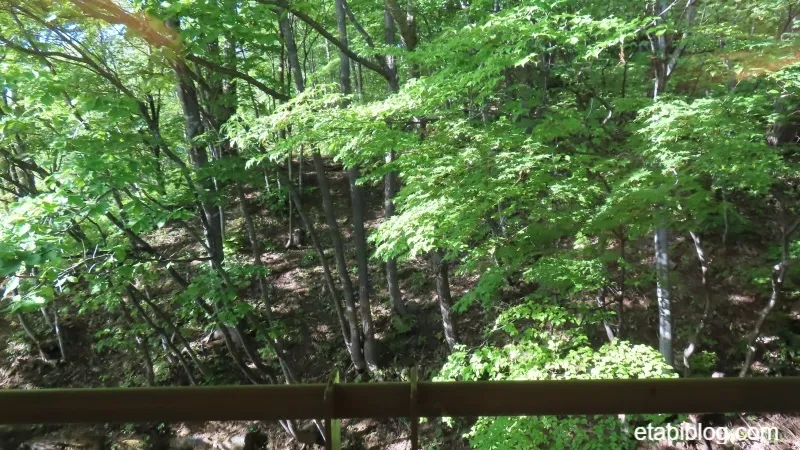 蔵王国際ホテルの客室からの風景