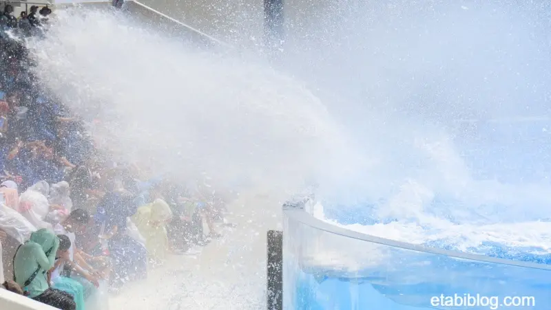 須磨シーワールドのシャチショーでプールからあふれ出る海水