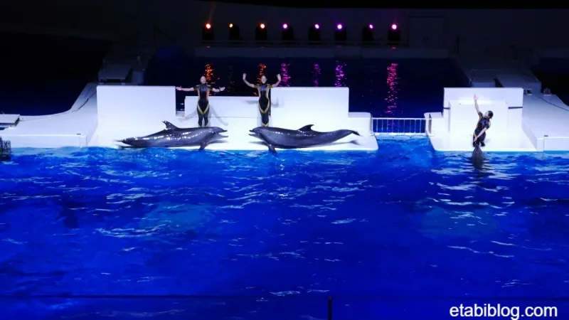 白色のライトに照らされるプールサイド