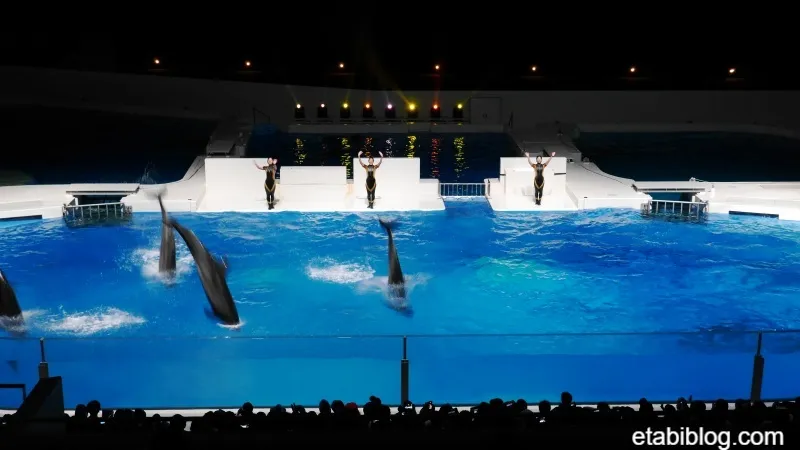 4頭のイルカが同時にプールに飛び込むタイミング