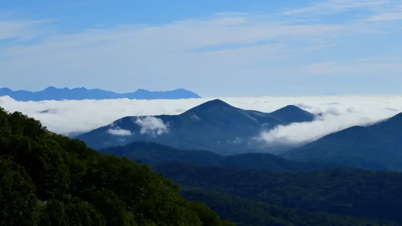 雲海の絶景